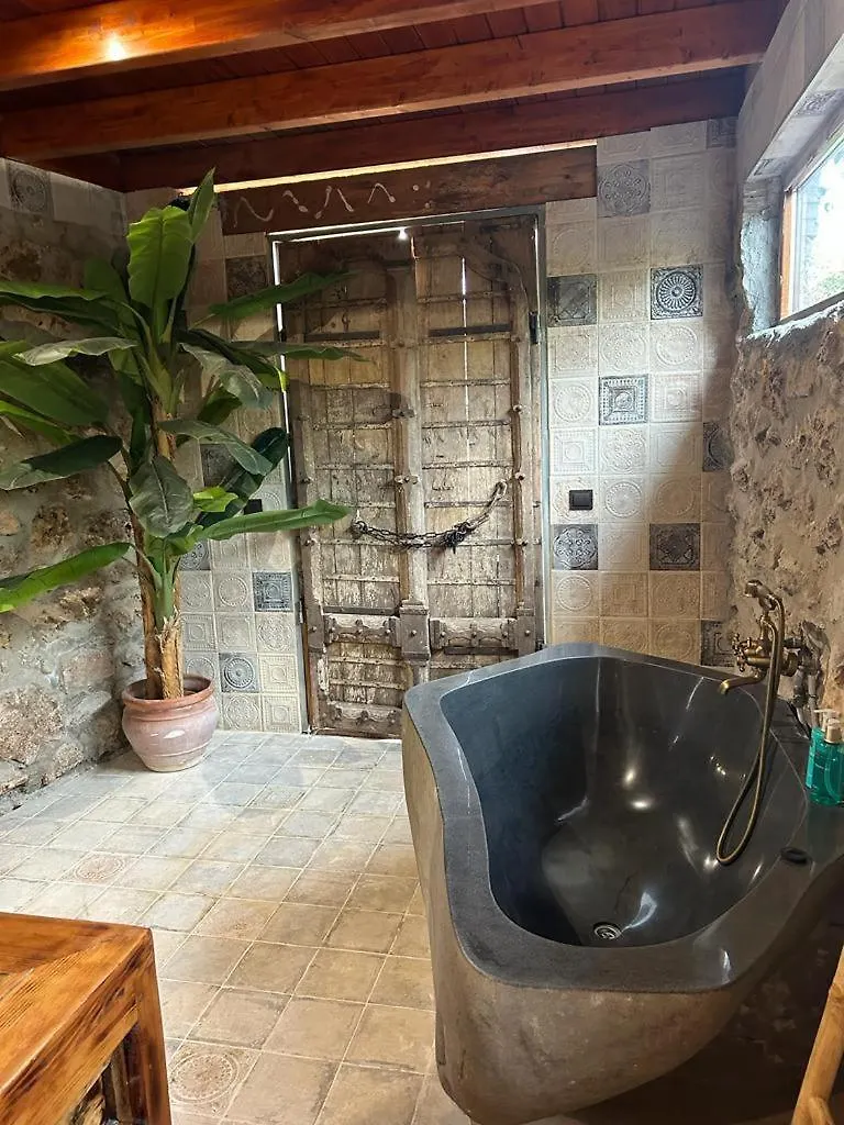 Cortijo Boutique Marbella酒店 西班牙
